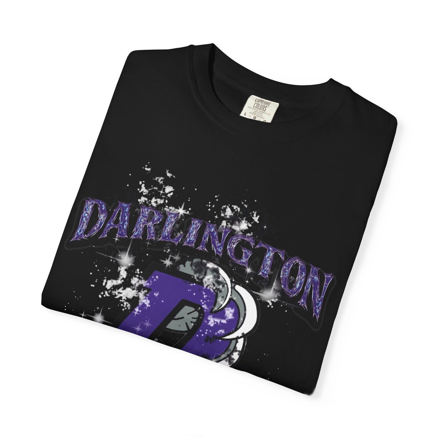 DARLINGTON FALCONS HOMECOMING T-SHIRT