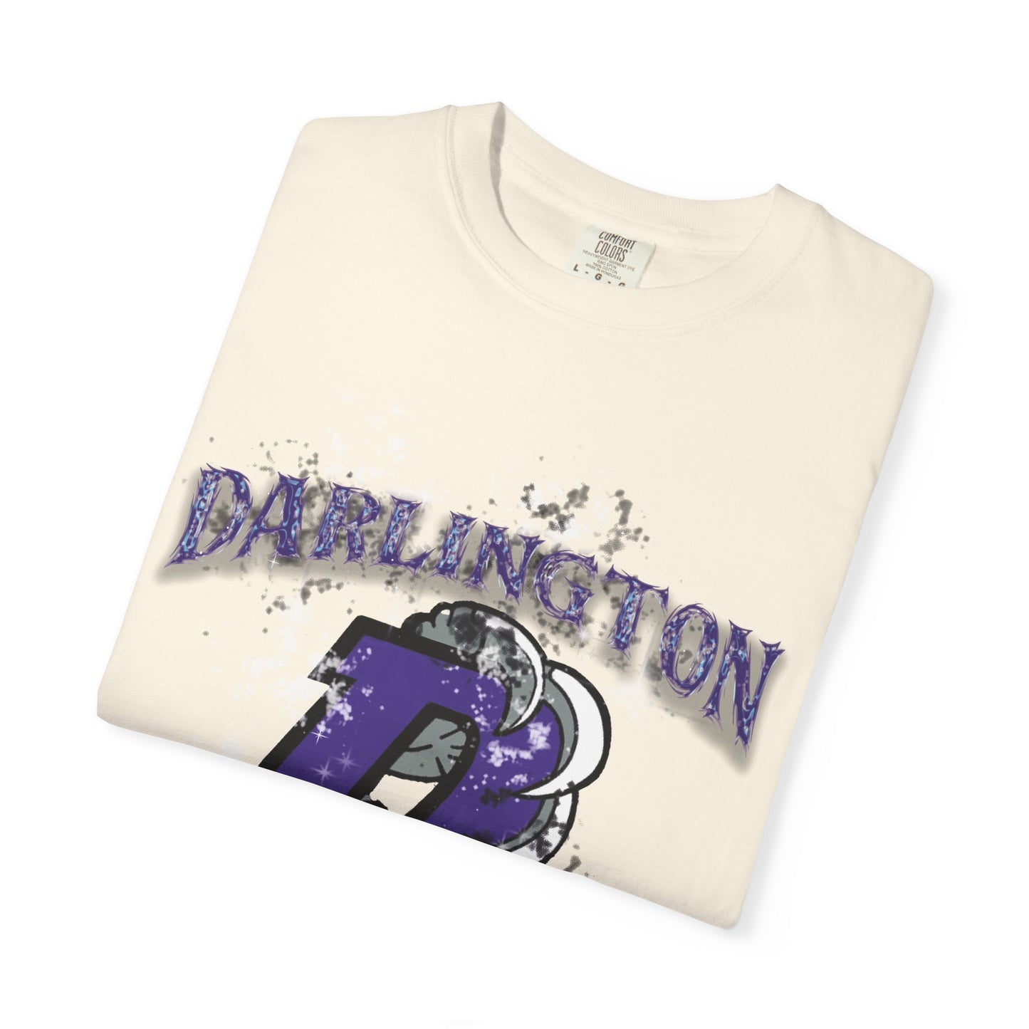 DARLINGTON FALCONS HOMECOMING T-SHIRT