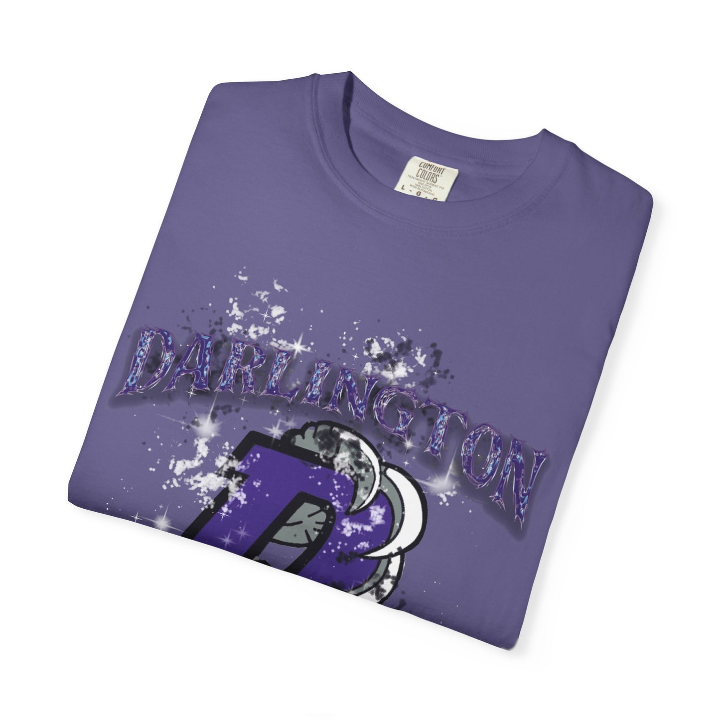 DARLINGTON FALCONS HOMECOMING T-SHIRT