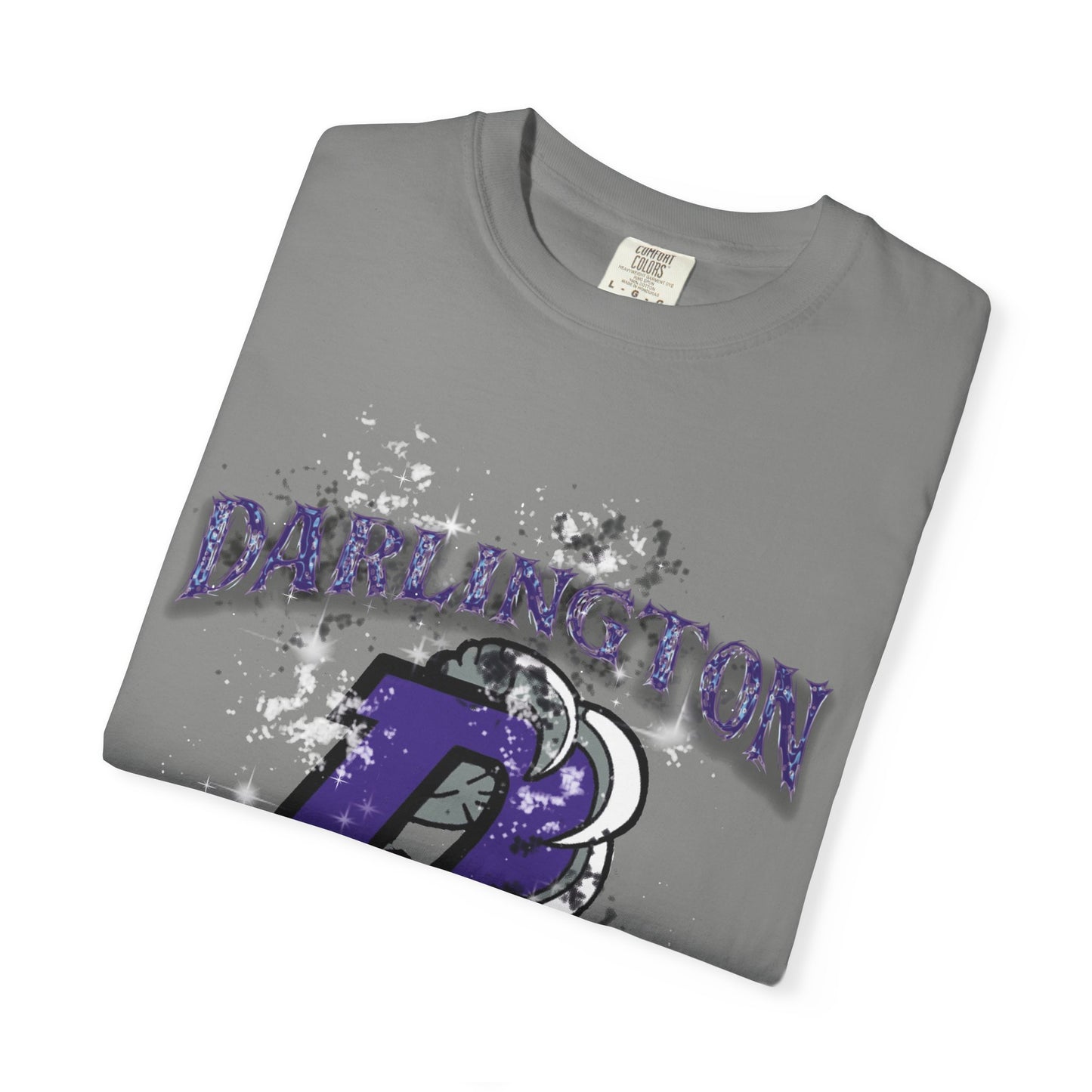 DARLINGTON FALCONS HOMECOMING T-SHIRT