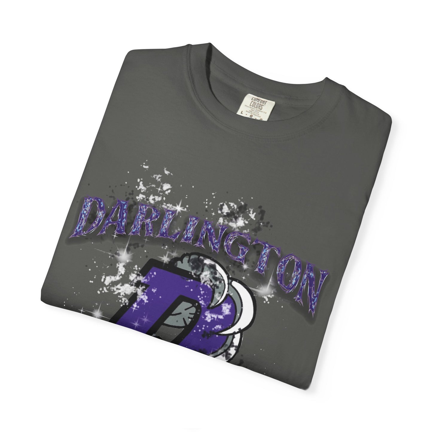 DARLINGTON FALCONS HOMECOMING T-SHIRT