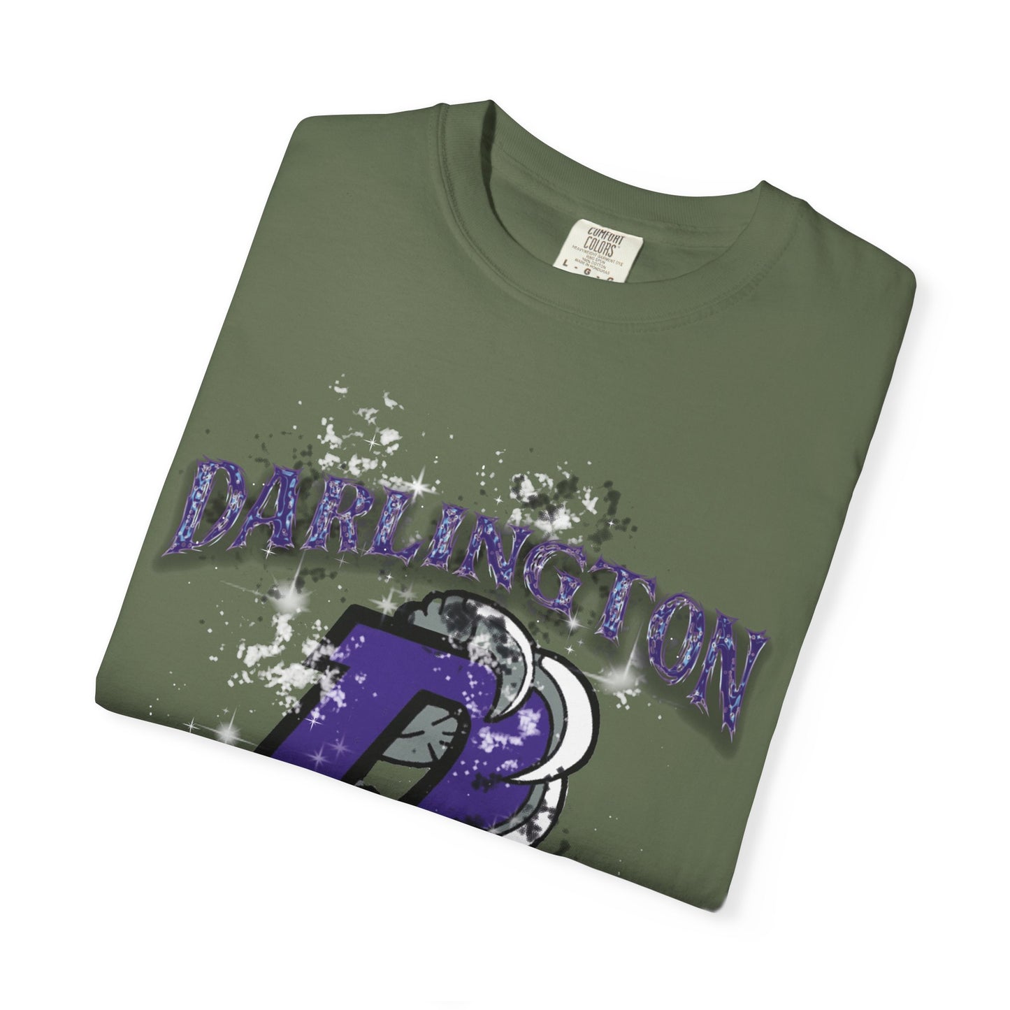 DARLINGTON FALCONS HOMECOMING T-SHIRT
