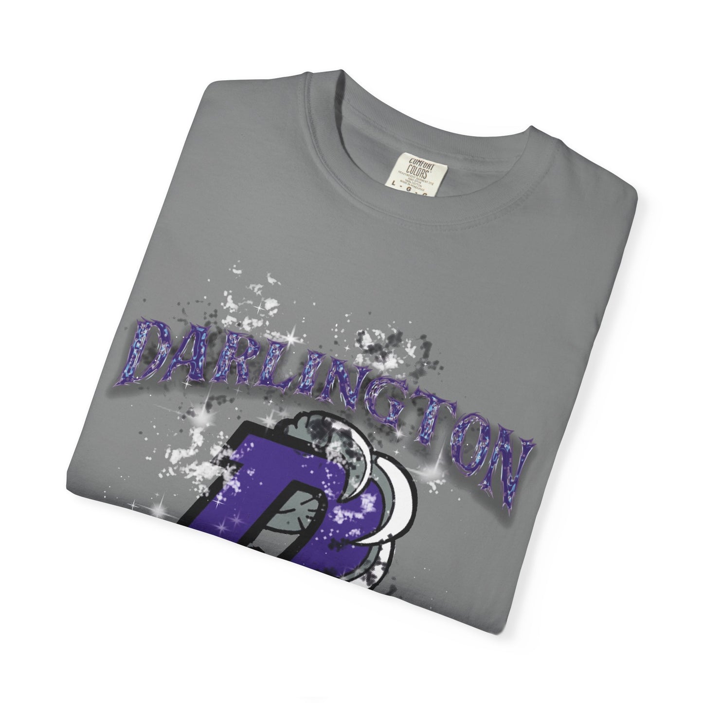 DARLINGTON FALCONS HOMECOMING T-SHIRT