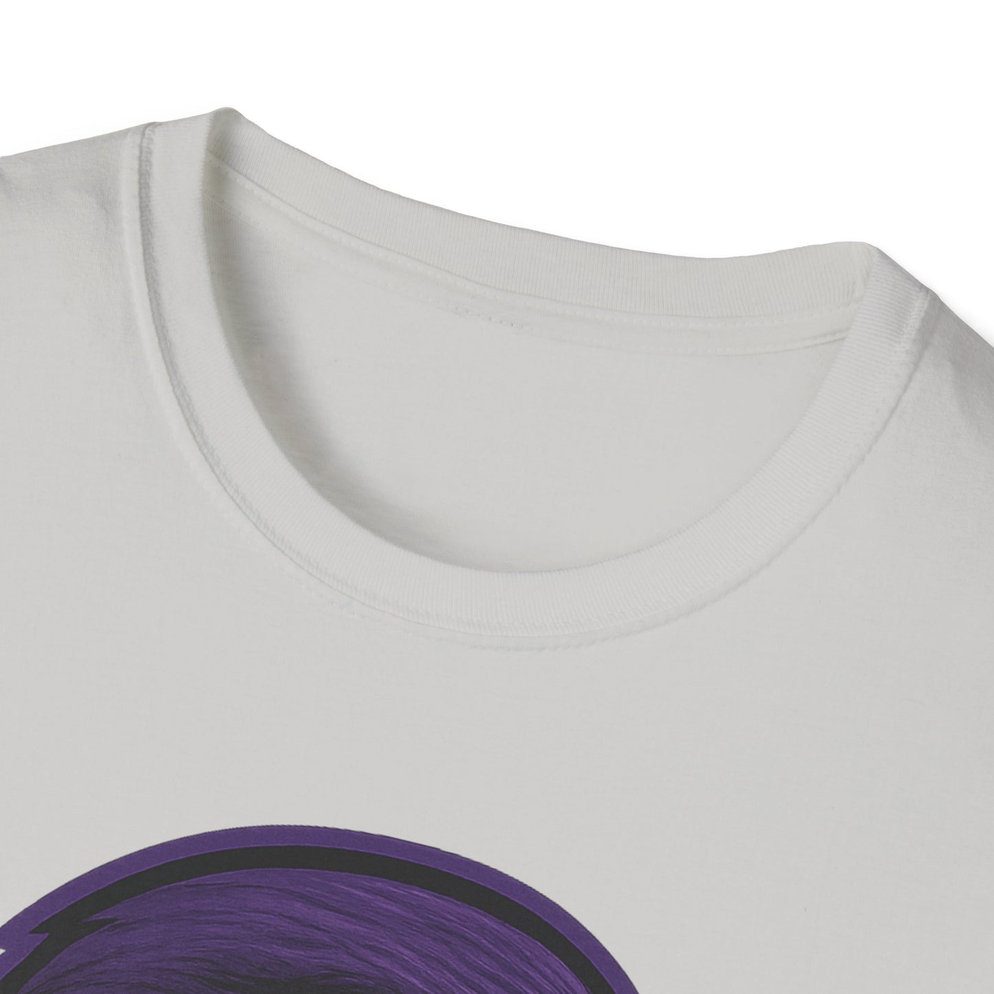 DHS Class Of 13 Tee