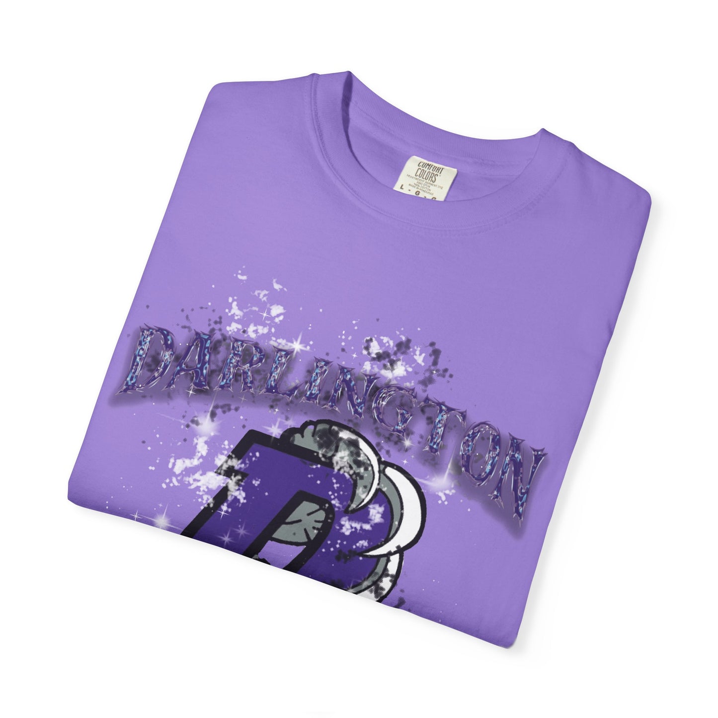 DARLINGTON FALCONS HOMECOMING T-SHIRT