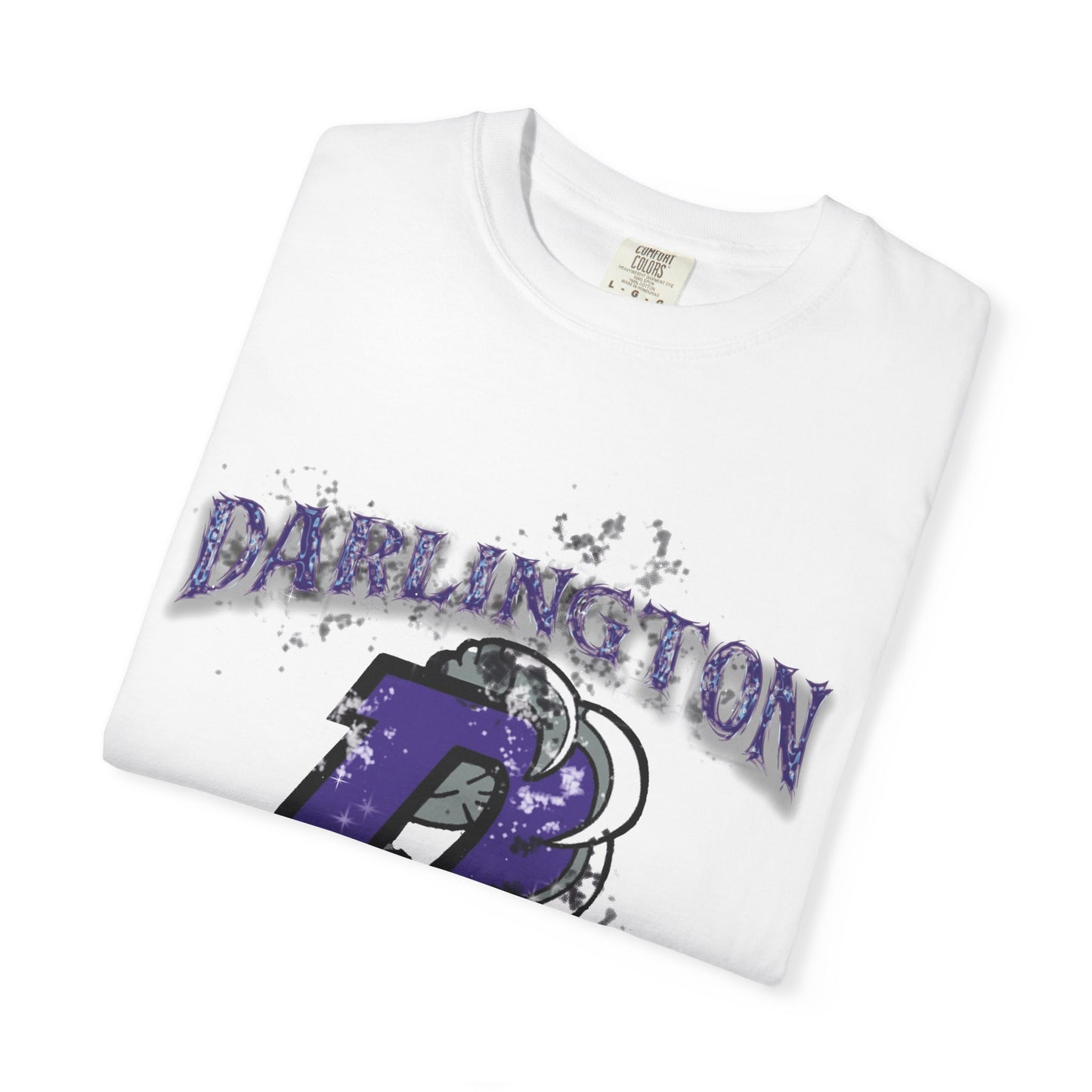 DARLINGTON FALCONS HOMECOMING T-SHIRT